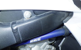 YAMAHA WR250X DG15J