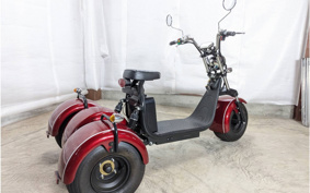 HONDA  BLAZE EV TRIKE  DMJC