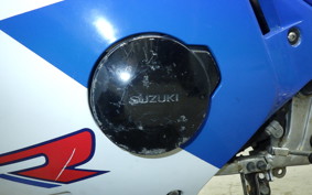 SUZUKI GSX-R250 2008 GJ72A