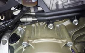 DUCATI 1299 PANIGALE 2015