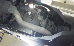 SUZUKI ｼﾞｸｻｰ250SF 2021 ED22B