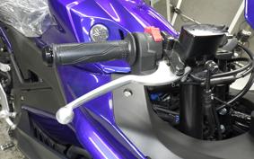 YAMAHA YZF R-3 2025