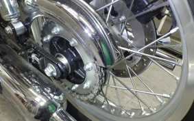 KAWASAKI W800 2022 EJ800E