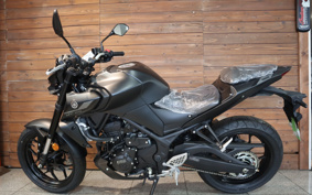 YAMAHA MT-25 RG74J