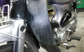 HONDA LITTLE CUB E 2019 AA01