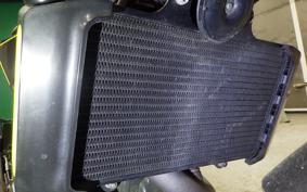 HUSQVARNA SVARTPILEN 401