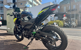 KAWASAKI Z250ABS EX250P