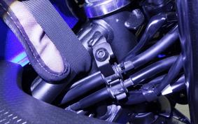 KAWASAKI NINJA 250 2025 EX250P