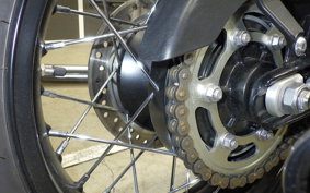 TRIUMPH BONNEVILLE T100 2024