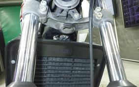 YAMAHA RZ 250 2020 4L3