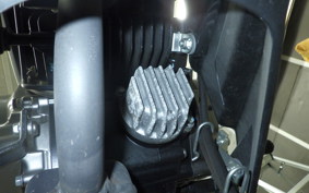 KAWASAKI Z125 PRO 2024 BR125H