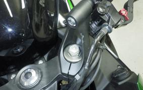 KAWASAKI NINJA 1000 SX 2024 ZXT02K