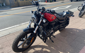 HARLEY RH975 NIGHT STAR 2024 ZH1