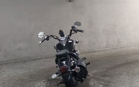 YAMAHA DRAGSTAR 250 VG02J