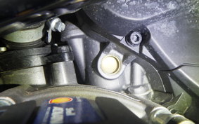 DUCATI DESSERT X 2022