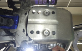YAMAHA WR250R DG15J