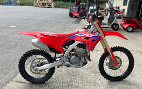 HONDA CRF250 RALLY