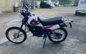 HARLEY FXLRST 2023 YXZ