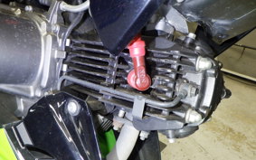 KAWASAKI Z125 PRO BR125H