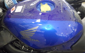 HONDA CBR1100XX 2006