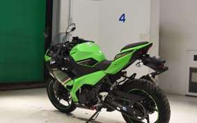 KAWASAKI NINJA 250 2009 EX250P