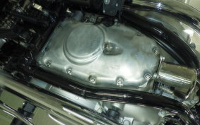 KAWASAKI W800 2025