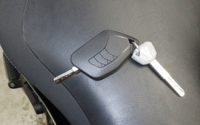 KAWASAKI NINJA H2 SX 2023 ZXT02P