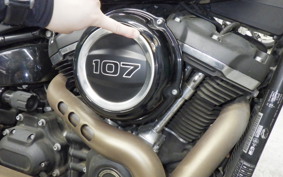 HARLEY FXFB1750 2019
