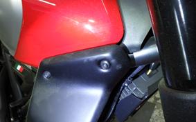 DUCATI SCRAMBLER ICON 2023