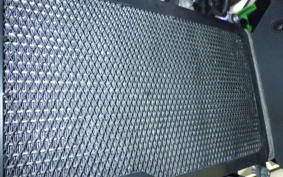 KAWASAKI NINJA 400 2018 EX400G