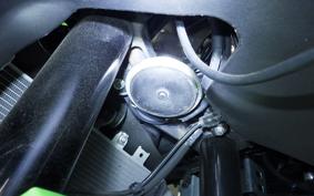 KAWASAKI ZX-4RR 2023 ZX400P