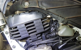 HONDA TLM220R