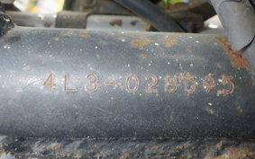 YAMAHA RZ 250 4L3