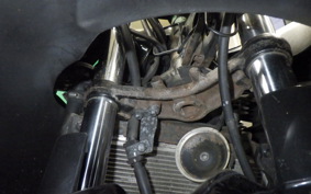 KAWASAKI NINJA 250R EX250K