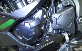 KAWASAKI NINJA1100SX SE 2025