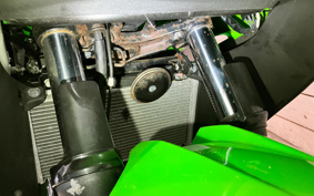 KAWASAKI NINJA 250 ABS SE EX250L