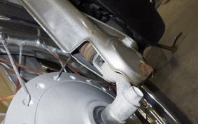 HONDA LITTLE CUB 2010 AA01