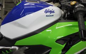 KAWASAKI ZX-4RR 2024 ZX400P