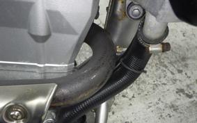 KAWASAKI KLX250 Gen.2 LX250S