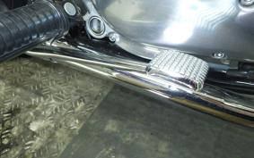 KAWASAKI W800 2025 EJ800E