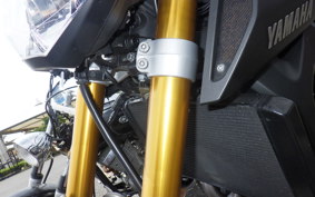 YAMAHA MT-09 2014 RN34J