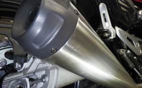 TRIUMPH SPEED TWIN 1200 2023