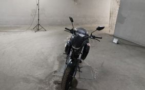 YAMAHA  FEATHER 25 RG69