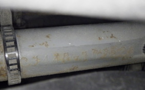 SUZUKI SKYWAVE 250 (Burgman 250) CJ44A