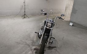 HARLEY FXST1750 2020 BVJ