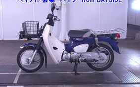 OTHER C110PU LOW 3
