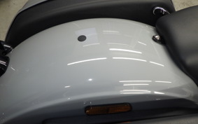 HARLEY FXLRST1920 2026