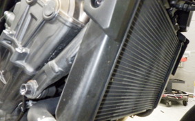 HONDA CB650R E-Clutch 2024 RH17