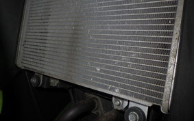 KAWASAKI NINJA 250 EX250L