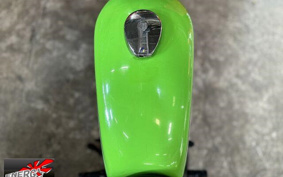 KAWASAKI 250TR 2007 BJ250F